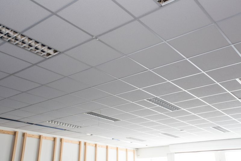 T Bar Ceiling Installation in Boulder, CO